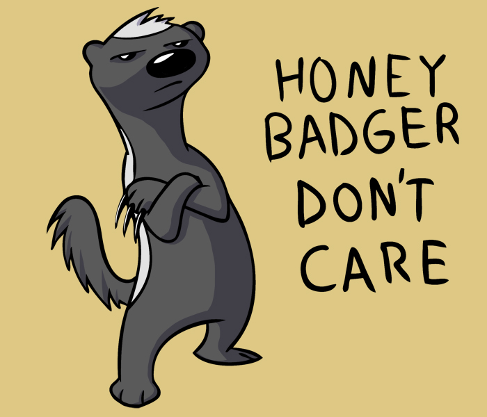 honey badger Meme, Meaning & History